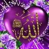 eman.ahmed3415