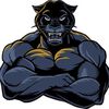 panth3r256