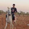 abo.zakor16