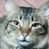 donita_160722