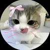 tfdcat1