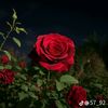 user786819676568