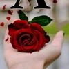 user8496290555403