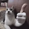frenchcoolguy