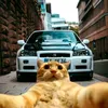 deivid_4629