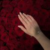 ___mariam_ahmed