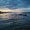 tim.covid8