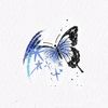 miraa._134