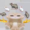 rat_1013