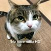 cuentaabandonada500
