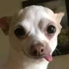 cha.or.nem