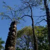 bruunmv