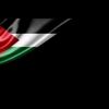 abu.wael83
