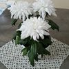 sevda.kurt376