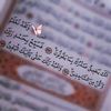 oumalbanat301