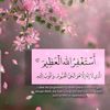 noorfatima_5566