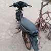 satriya.satriya.1