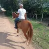 douglas.silva1165