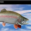 e_fish4