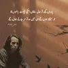 jaunelia.1