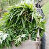 warga_desa96