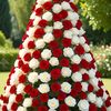 nawab.swati.55