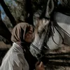 lamssaoudeh2