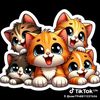 user7948811237636
