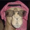 j7fllii3