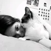 iv_s26