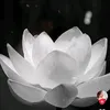 trn.thanh.vn713