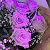 ledy_964