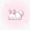 lee_lee.8p