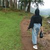 dhania88x