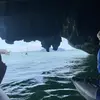 aborerbicob