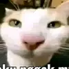 hama_tiktok1551
