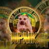 nildopittmonsterkennel
