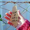 user4408177227299
