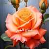 salam.salam5557