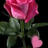 user6815611730400