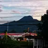 tm_7162