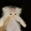 vtz_vitinn