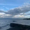 emilyn4479
