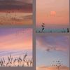 lily_kalas
