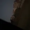 _qslili
