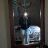 laura.4666