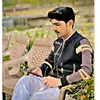 alidogar__419