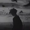 andrew_toxic132