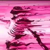 akihiro.jhayver