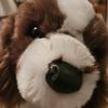 a_n_a_cosplay